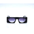 Louis Vuitton Small Sunglass