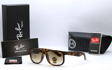 Ray-Ban 4165 Tortoise Sunglasses