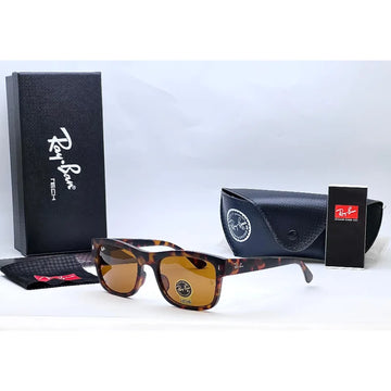 Rayban RB4428 Brown Sunglass