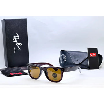 Rayban RB R0502 Brown WAYFERER REVERSE Sunglasses