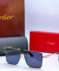 Cartier 23014 Golden Black Sunglasses